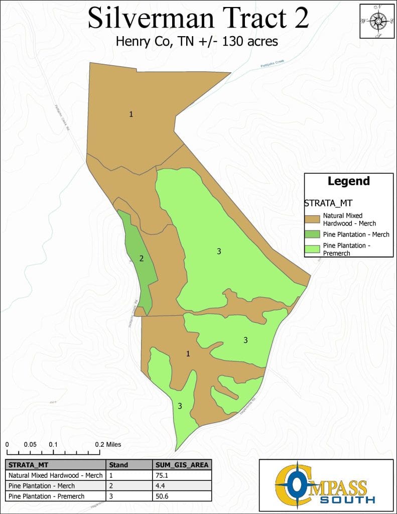 Silverman Tract 2 Type Map Tennessee land for sale