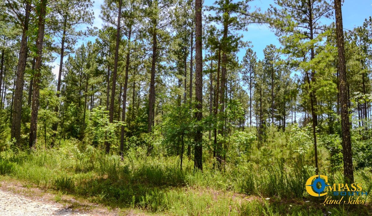 Smith Ford Road Land for Sale in South Carolina-34