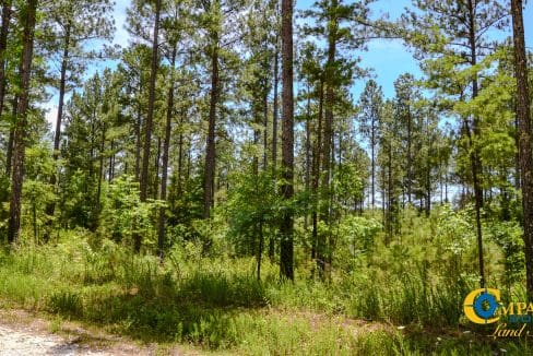 Smith Ford Road Land for Sale in South Carolina-34