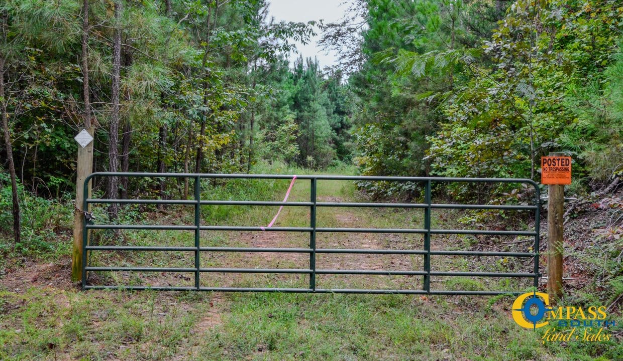 Smith Ford Road Land for Sale in South Carolina-43