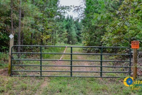 Smith Ford Road Land for Sale in South Carolina-43