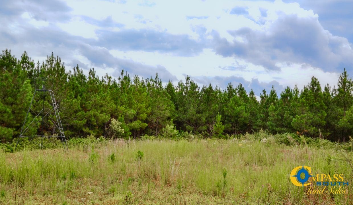 Smith Ford Road Land for Sale in South Carolina-46