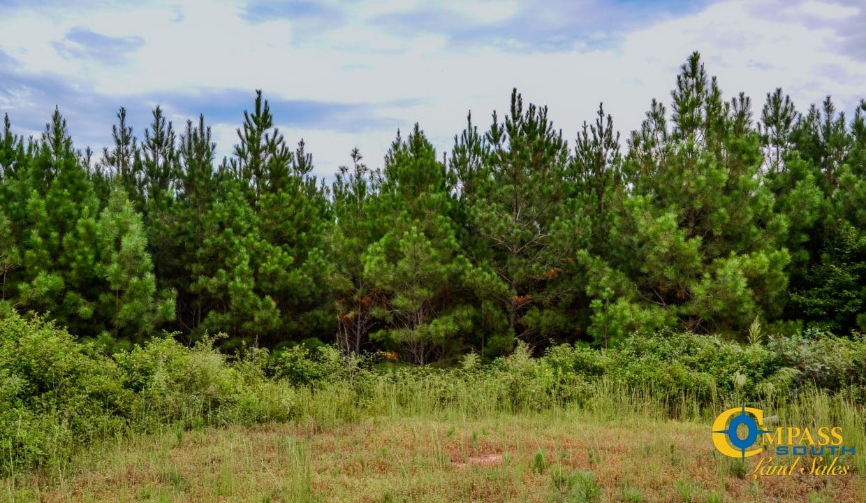 Smith Ford Road Land for Sale in South Carolina-47