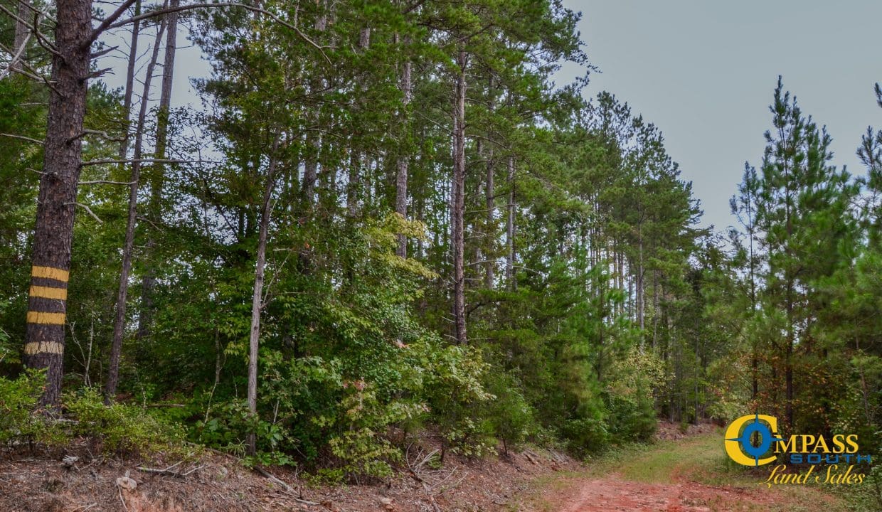 Smith Ford Road Land for Sale in South Carolina-49