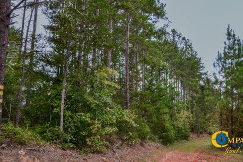 Smith Ford Road Land for Sale in South Carolina-49