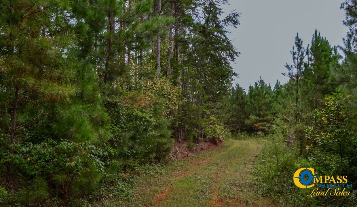 Smith Ford Road Land for Sale in South Carolina-50