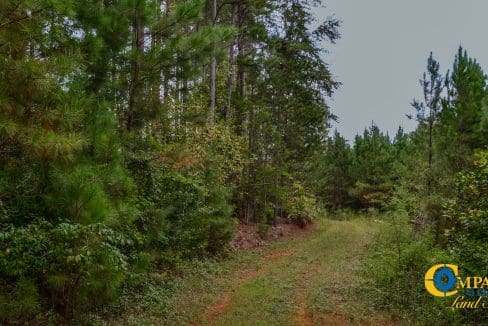 Smith Ford Road Land for Sale in South Carolina-50