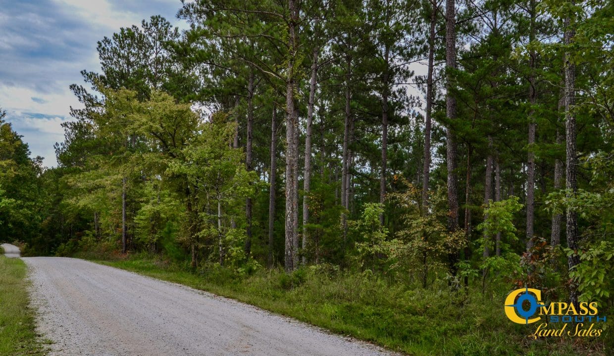 Smith Ford Road Land for Sale in South Carolina-52