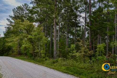 Smith Ford Road Land for Sale in South Carolina-52