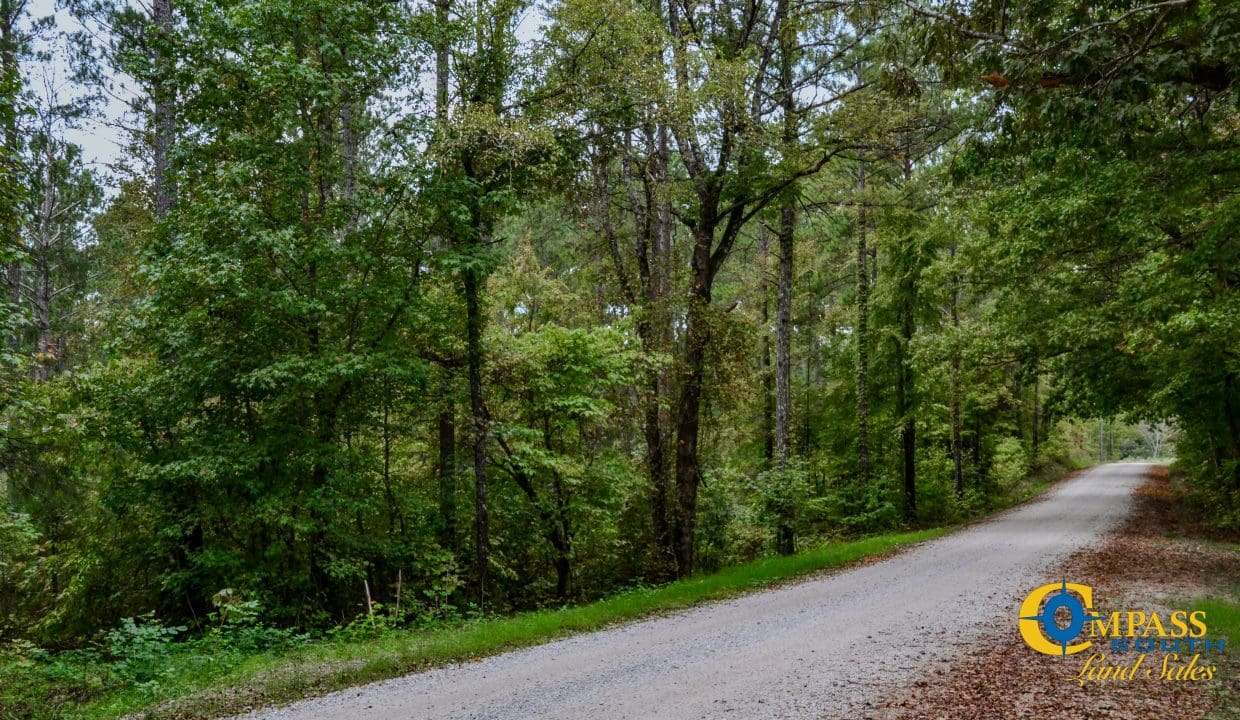 Smith Ford Road Land for Sale in South Carolina-56