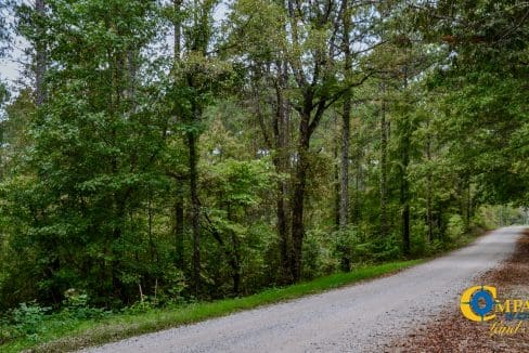 Smith Ford Road Land for Sale in South Carolina-56