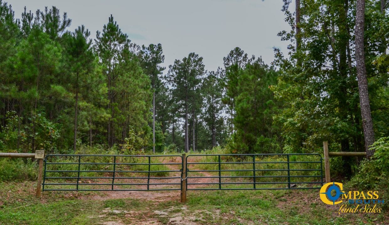 Smith Ford Road Land for Sale in South Carolina-60