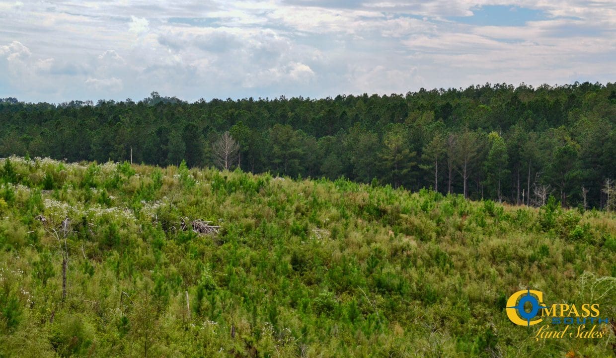 Smith Ford Road Land for Sale in South Carolina-61