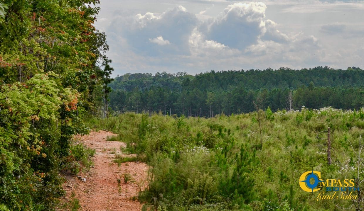 Smith Ford Road Land for Sale in South Carolina-62