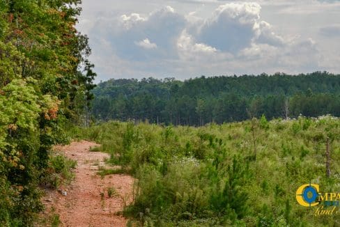 Smith Ford Road Land for Sale in South Carolina-62