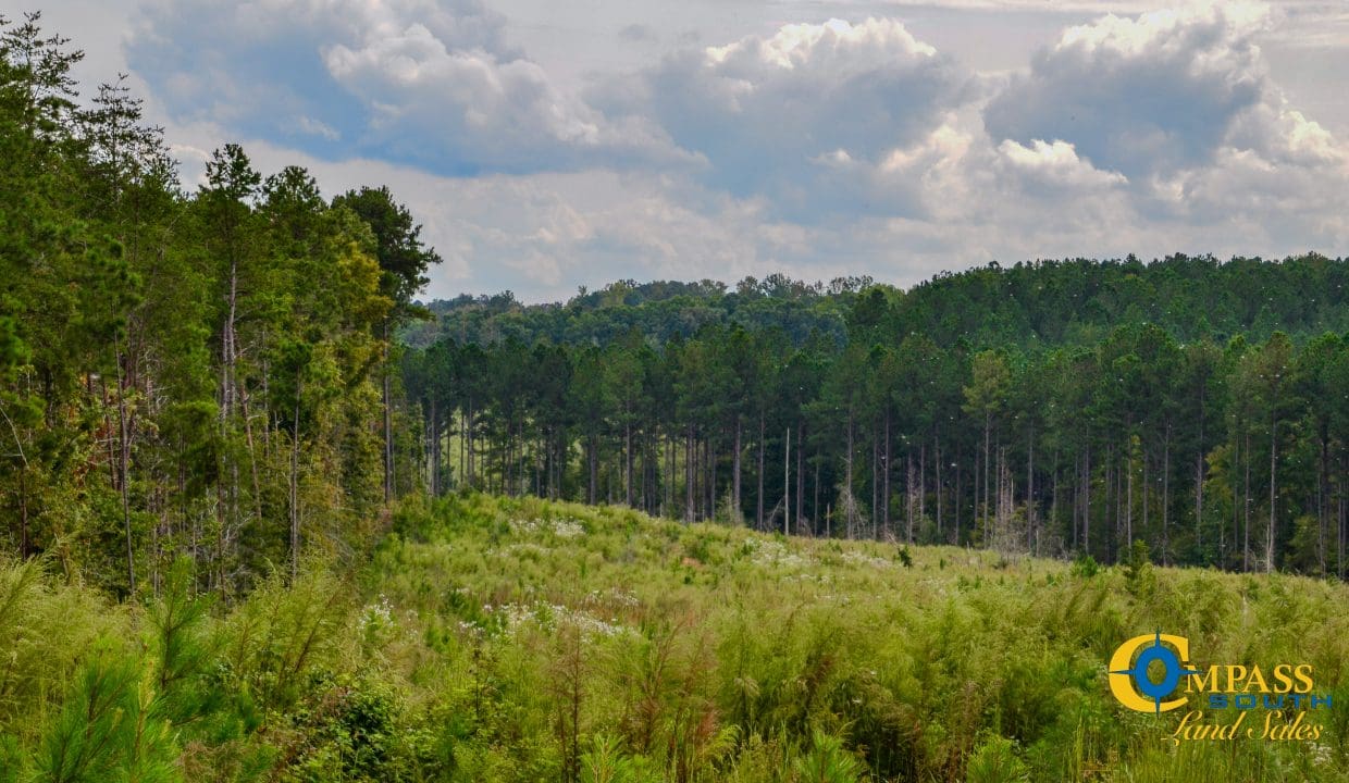 Smith Ford Road Land for Sale in South Carolina-65