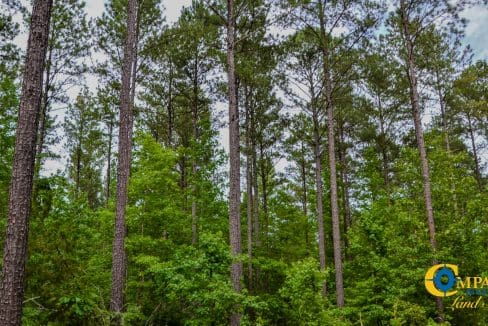 Wilkinsville Highway Land for Sale in South Carolina-01