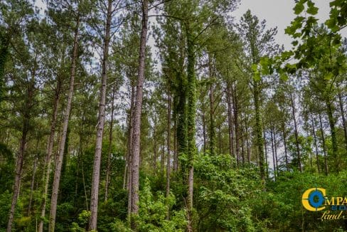 Wilkinsville Highway Land for Sale in South Carolina-02