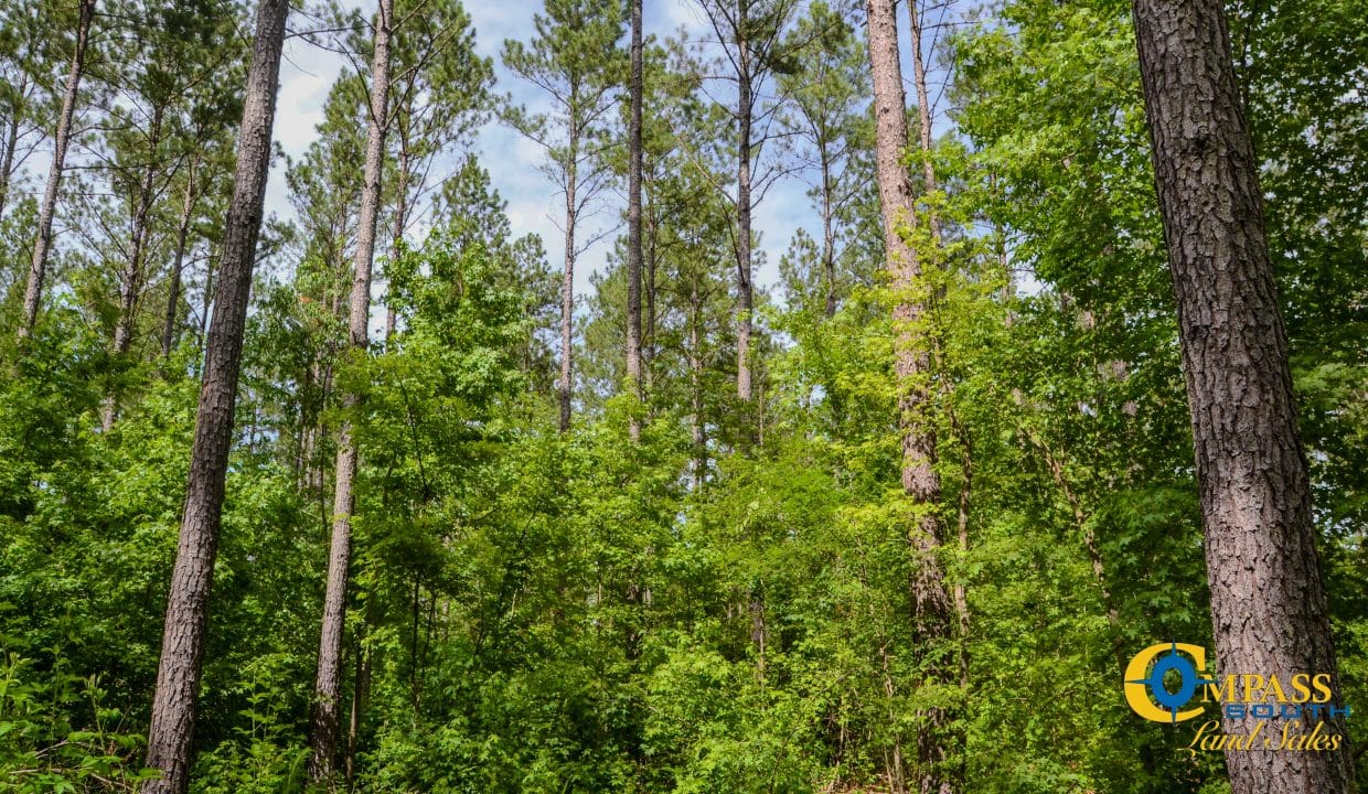 Wilkinsville Highway Land for Sale in South Carolina-06