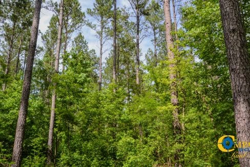 Wilkinsville Highway Land for Sale in South Carolina-06