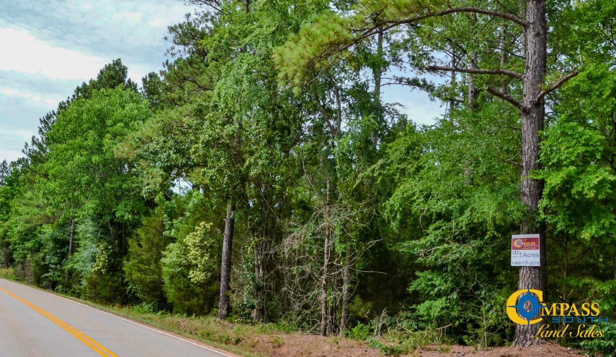 Wilkinsville Highway Land for Sale in South Carolina-08