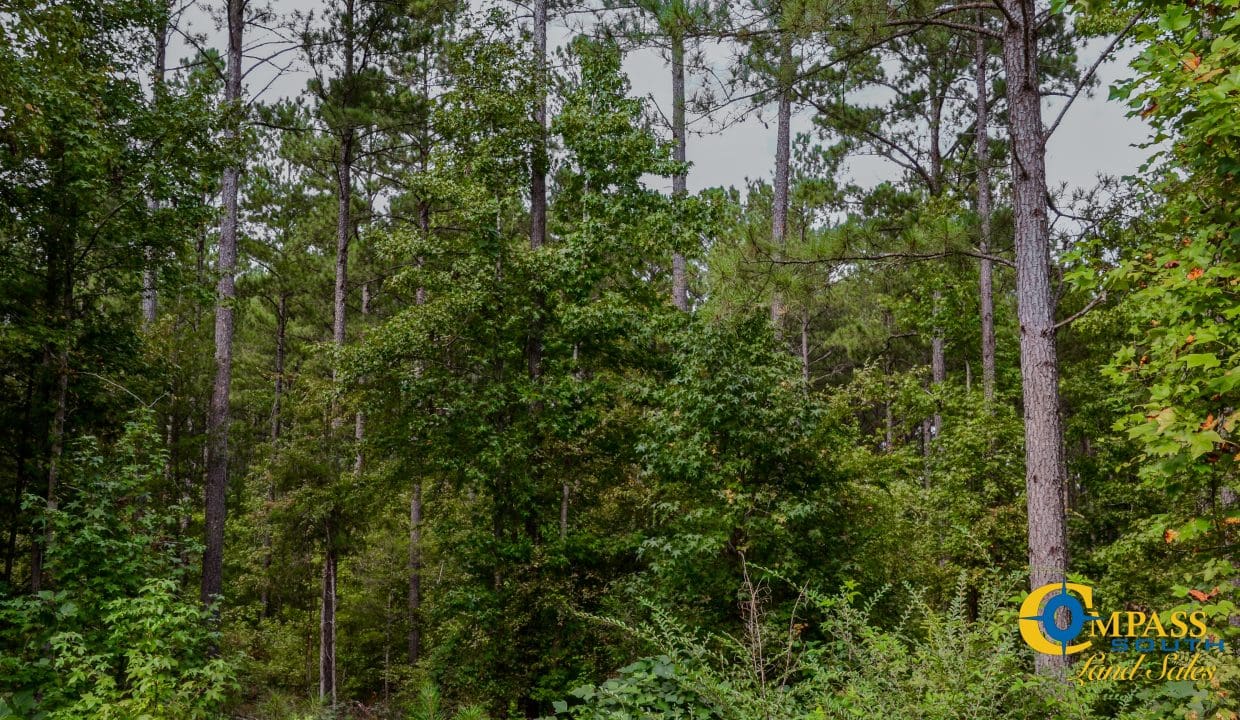 Wilkinsville Highway Land for Sale in South Carolina-14