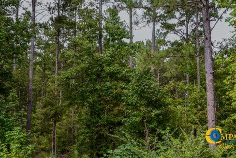 Wilkinsville Highway Land for Sale in South Carolina-14