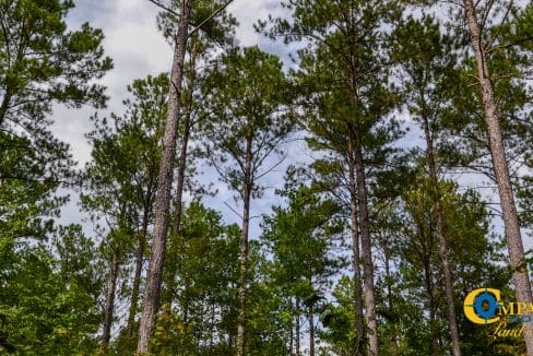 Wilkinsville Highway Land for Sale in South Carolina-15