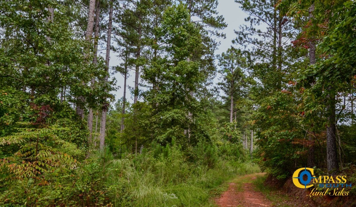 Wilkinsville Highway Land for Sale in South Carolina-18