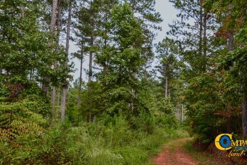 Wilkinsville Highway Land for Sale in South Carolina-18