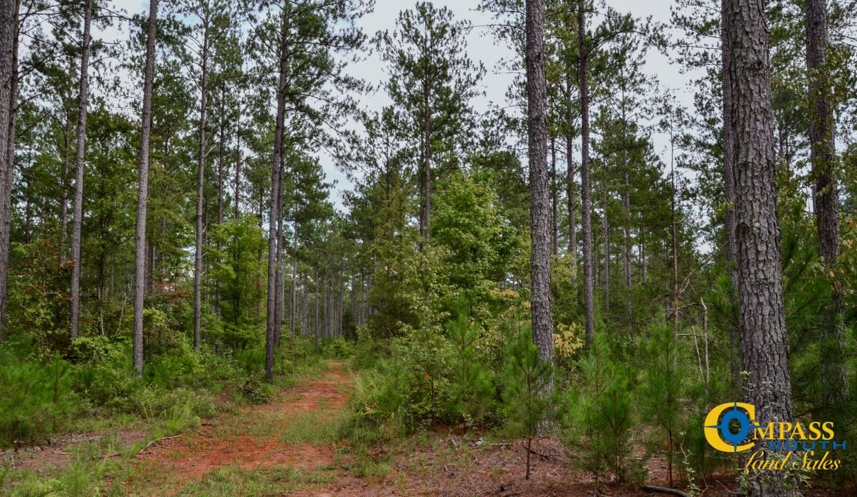 Wilkinsville Highway Land for Sale in South Carolina-19