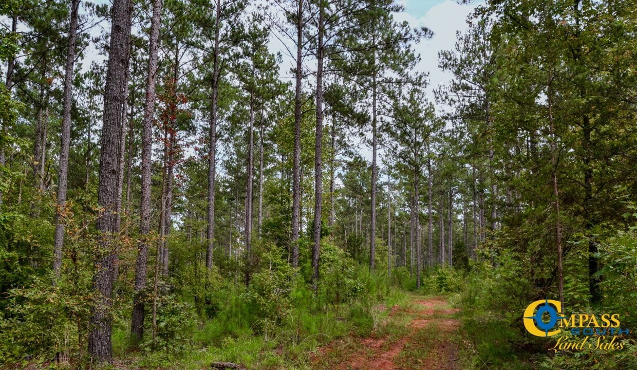 Wilkinsville Highway Land for Sale in South Carolina-20