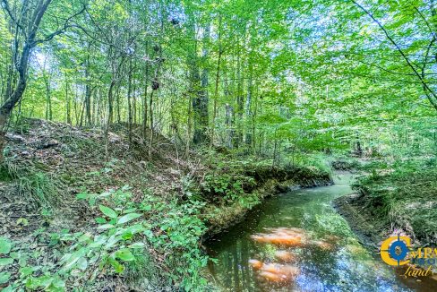 Woodcreek Tract 1 South Carolina-13