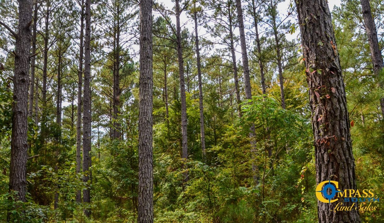 Arrowhead Hill Land for Sale in South Carolina-02