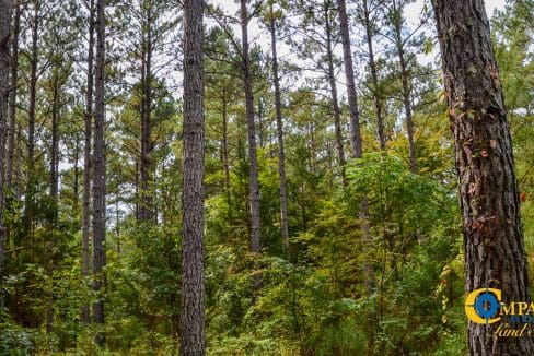 Arrowhead Hill Land for Sale in South Carolina-02