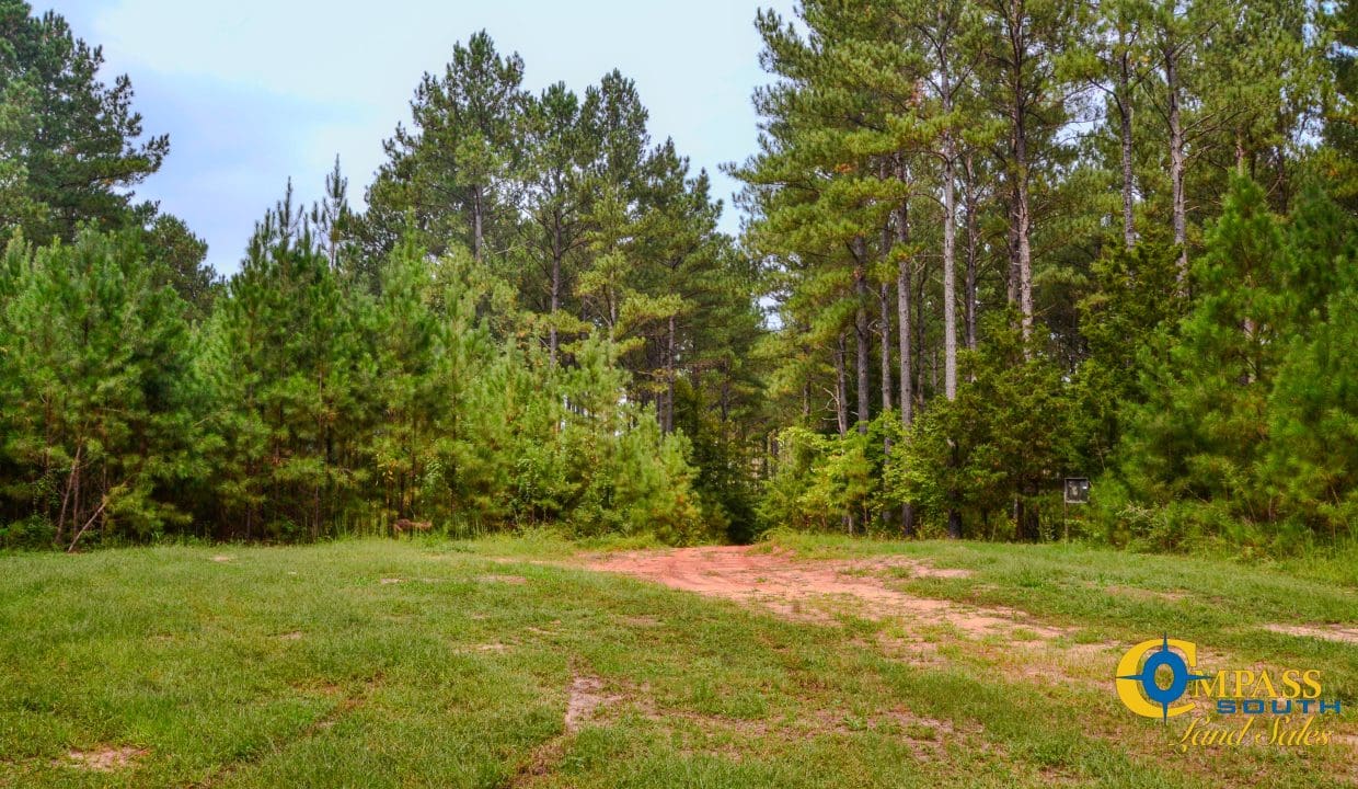 Arrowhead Hill Land for Sale in South Carolina-03