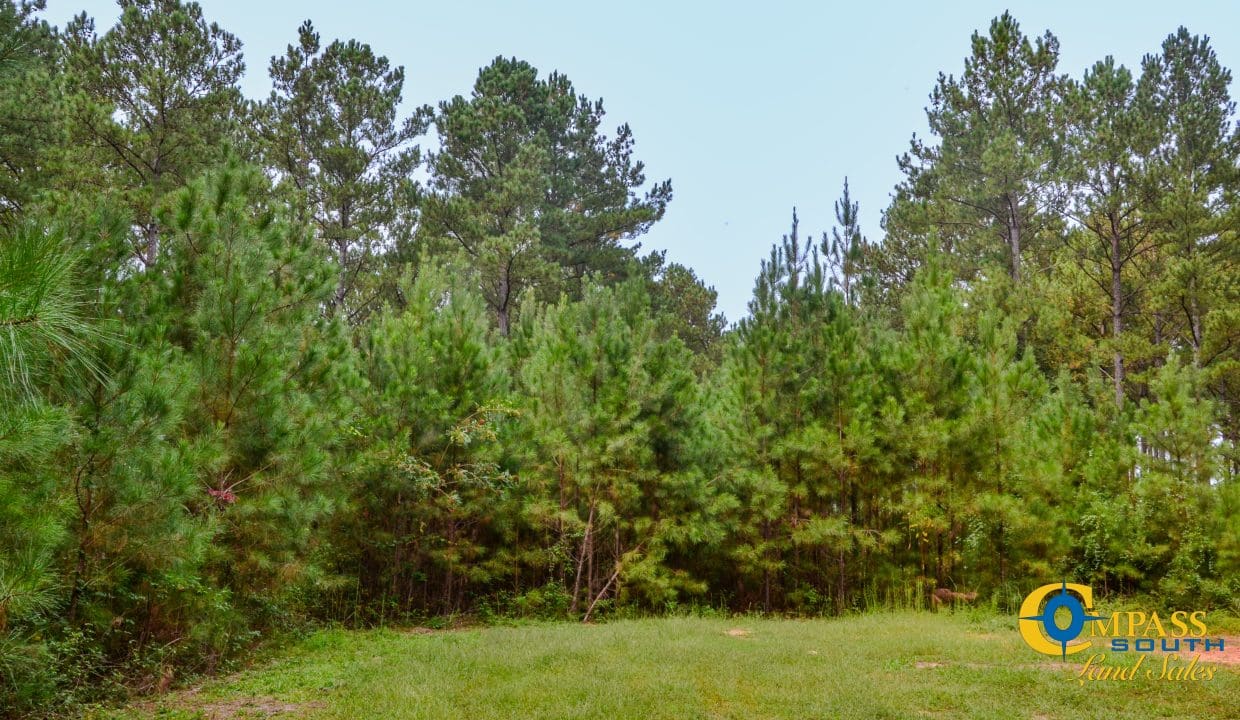 Arrowhead Hill Land for Sale in South Carolina-04