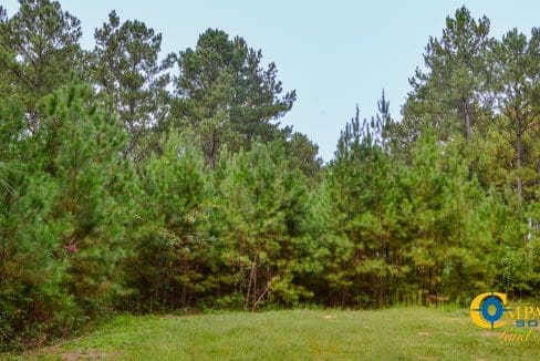 Arrowhead Hill Land for Sale in South Carolina-04