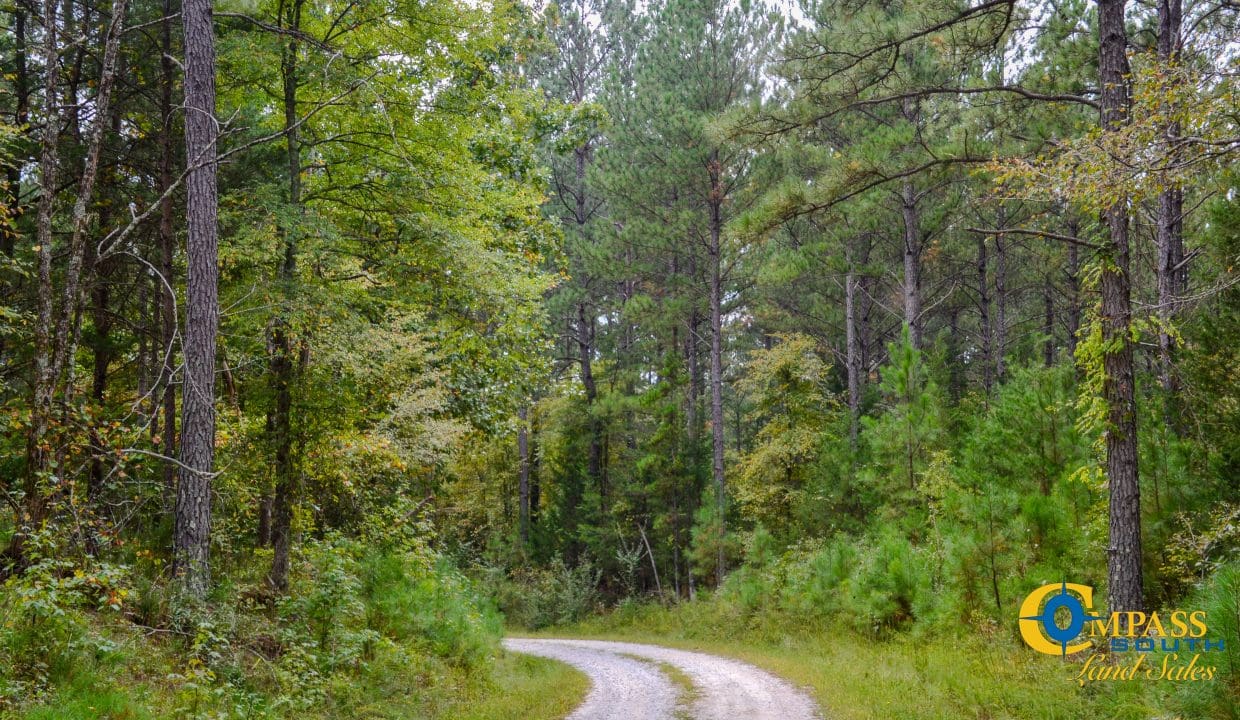 Arrowhead Hill Land for Sale in South Carolina-05