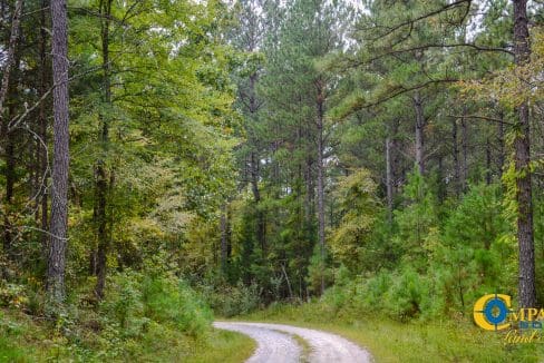 Arrowhead Hill Land for Sale in South Carolina-05