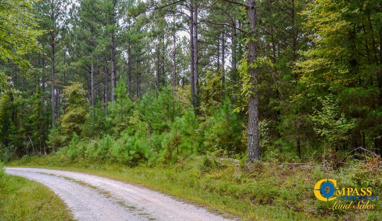 Arrowhead Hill Land for Sale in South Carolina-06