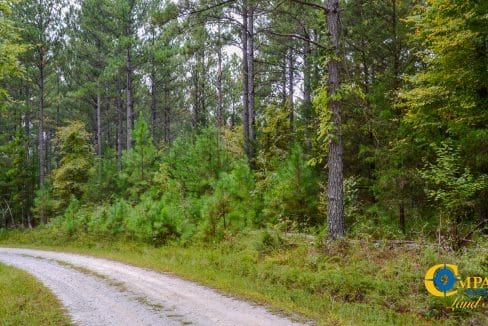 Arrowhead Hill Land for Sale in South Carolina-06