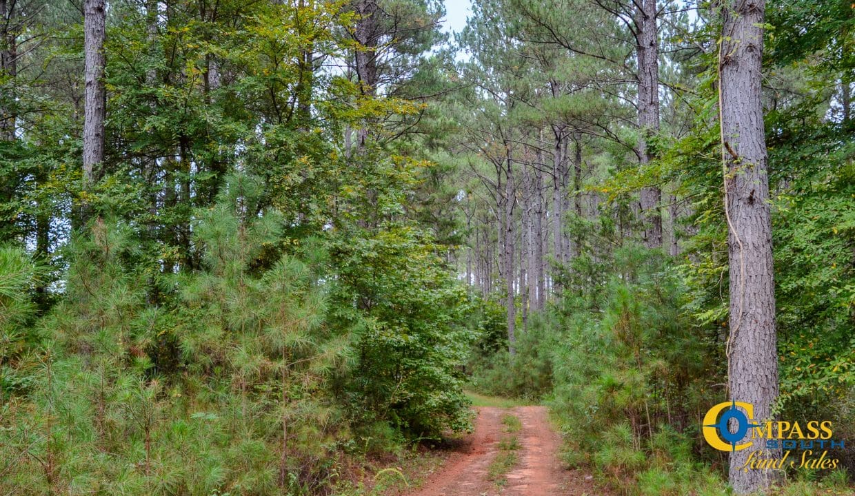 Arrowhead Hill Land for Sale in South Carolina-07