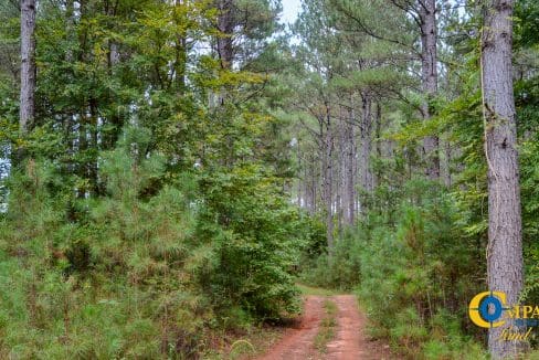 Arrowhead Hill Land for Sale in South Carolina-07