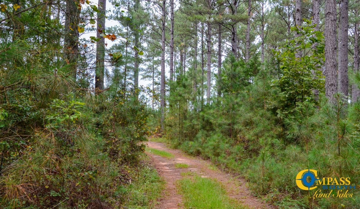 Arrowhead Hill Land for Sale in South Carolina-09