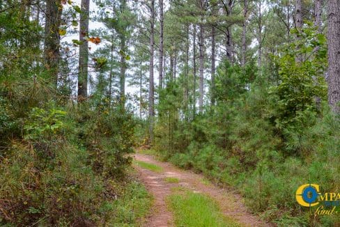 Arrowhead Hill Land for Sale in South Carolina-09