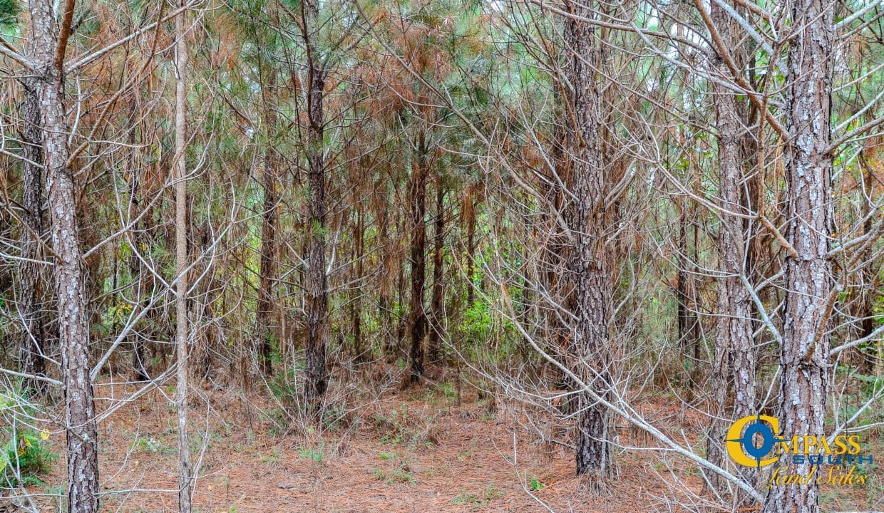 Arrowhead Hill Land for Sale in South Carolina-11