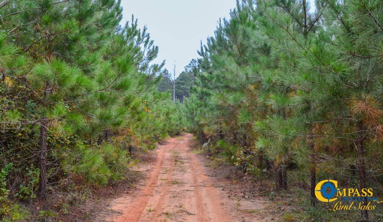 Arrowhead Hill Land for Sale in South Carolina-13