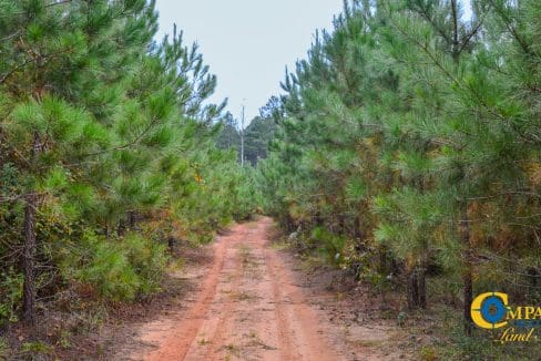 Arrowhead Hill Land for Sale in South Carolina-13