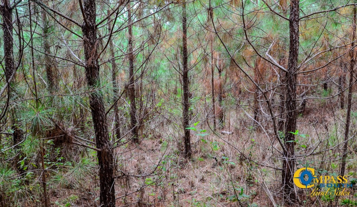 Arrowhead Hill Land for Sale in South Carolina-15